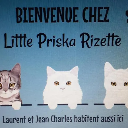 Un Petit Nid Douillet Apartment *